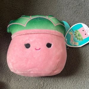 Succulent Squishmallow Afiyah